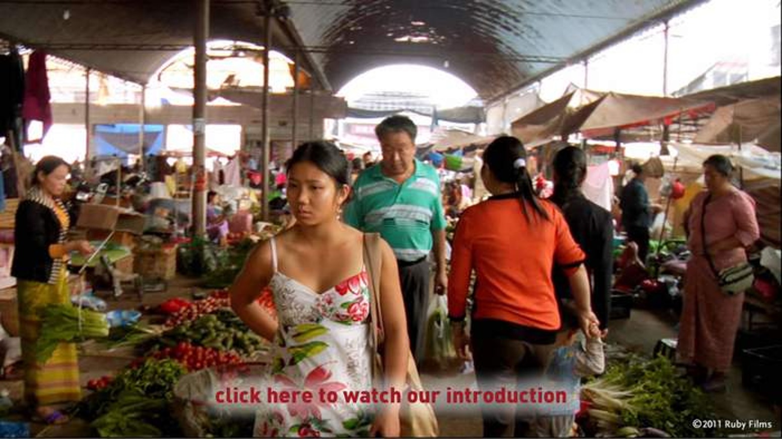 Somewhere Between, Documentary crowdfunding campaign